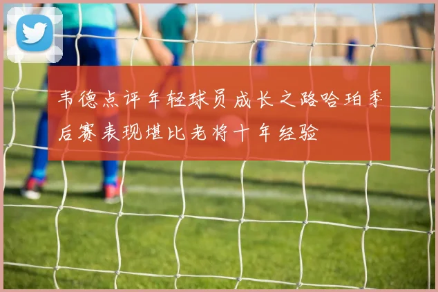 韦德点评年轻球员成长之路哈珀季后赛表现堪比老将十年经验