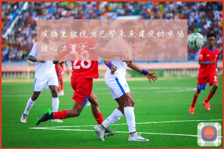 埃梅里被视为巴黎未来建设的中场核心力量之一
