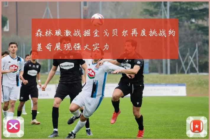 森林狼激战掘金戈贝尔再度挑战约基奇展现强大实力