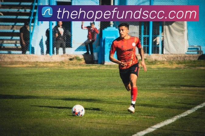 APP界面展示